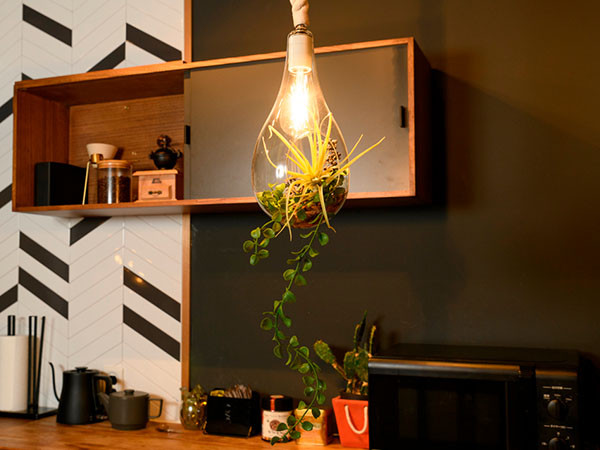 BOTANIC Hanging light with FAKEGREEN / ボタニック ハンギングライト フェイクグリーン付 M / FGG （ライト・照明 > ペンダントライト） 3