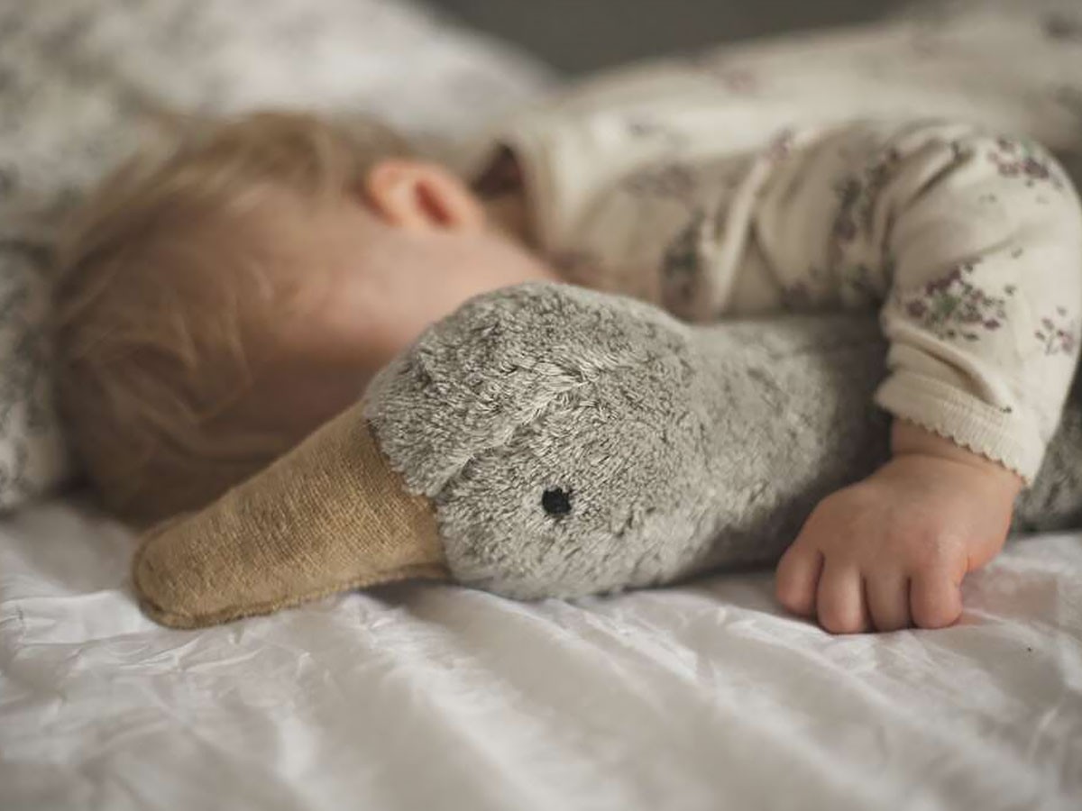 SENGER Naturwelt Cuddly Animal Goose / ゼンガーナチュウェルト カドリーアニマル グース L（グレー） （キッズ家具・ベビー用品 > おもちゃ・玩具） 8