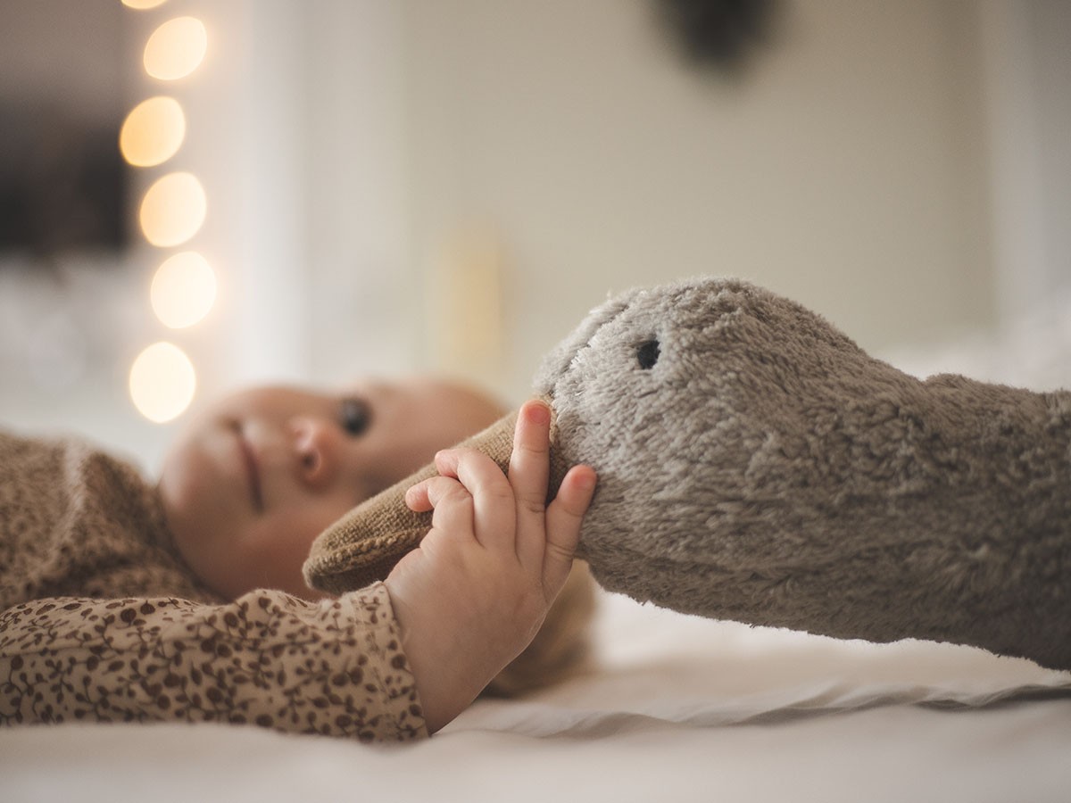 SENGER Naturwelt Cuddly Animal Goose / ゼンガーナチュウェルト カドリーアニマル グース L（グレー） （キッズ家具・ベビー用品 > おもちゃ・玩具） 7