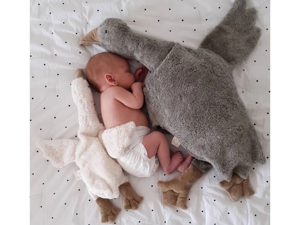 SENGER Naturwelt Cuddly Animal Goose / ゼンガーナチュウェルト カドリーアニマル グース L（グレー） （キッズ家具・ベビー用品 > おもちゃ・玩具） 3