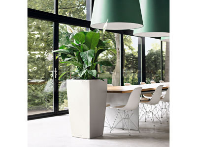 Lechuza Cubico50 / レチューザ キュービコ50 底面灌水セット付