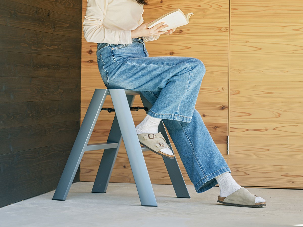lucano Step stool 2-step / ルカーノ ステップスツール ツーステップ（スタンダード） （その他家具 > 脚立・踏み台） 18