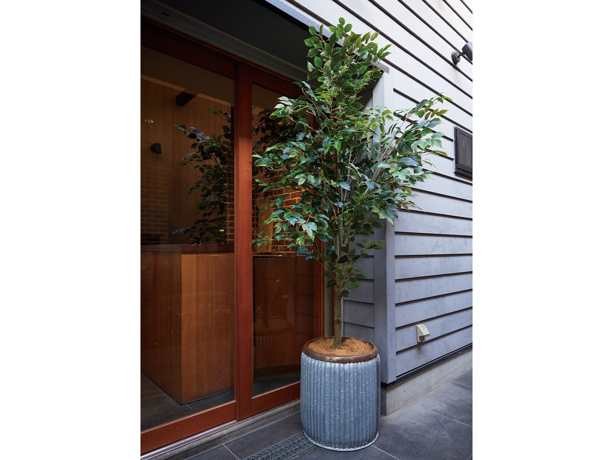 BROWN Ficus benjamina Pot / ブラウン ベンジャミン ポット 210 （花器・プランター・グリーン > フェイクグリーン・フェイクフラワー） 2
