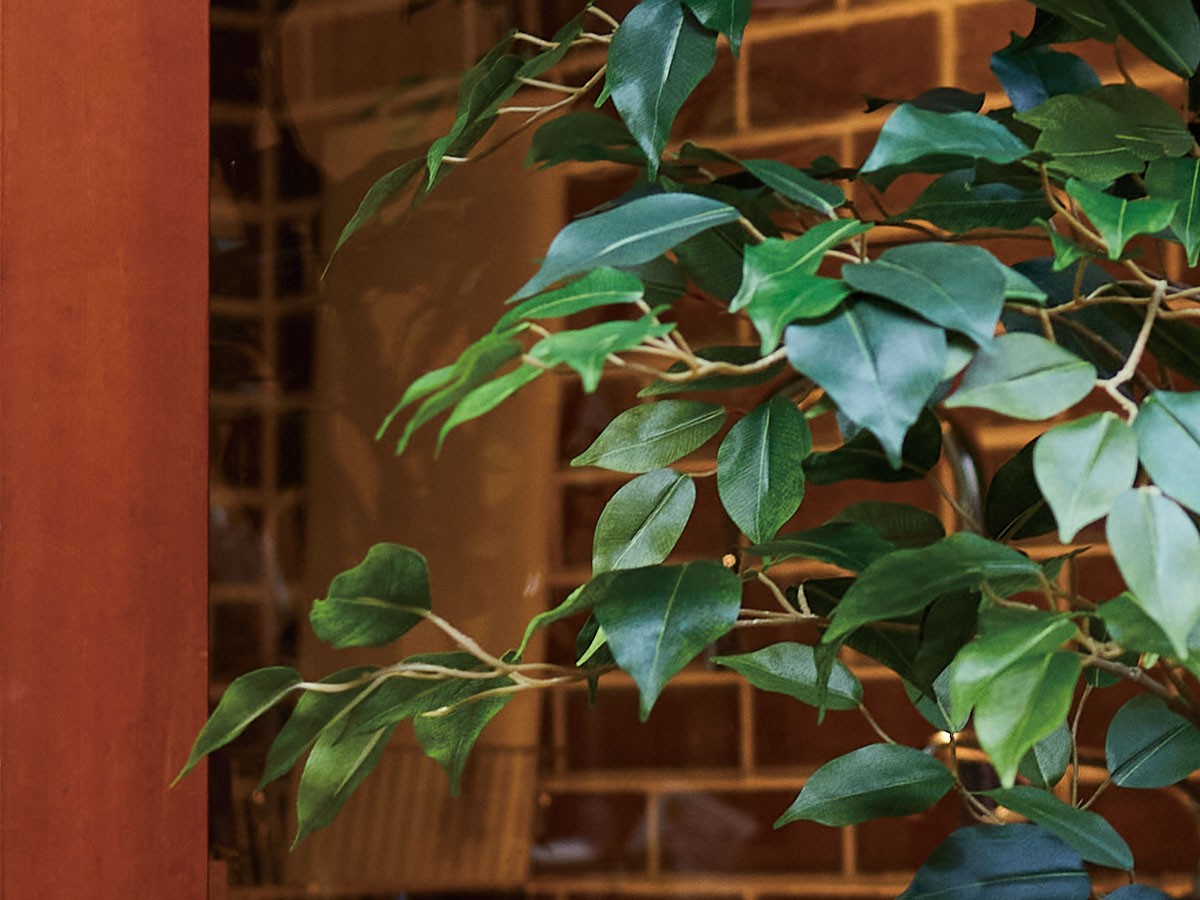BROWN Ficus benjamina Pot / ブラウン ベンジャミン ポット 210 （花器・プランター・グリーン > フェイクグリーン・フェイクフラワー） 3
