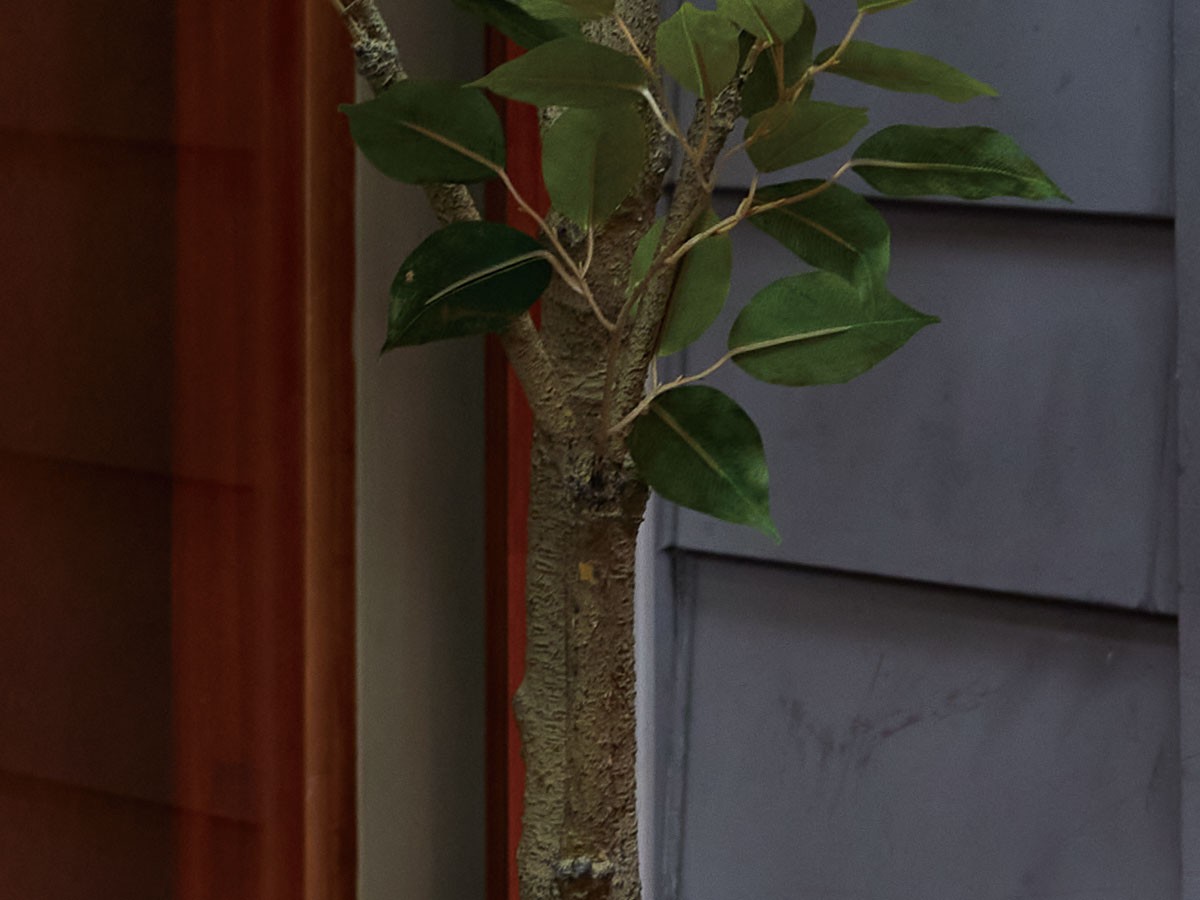 BROWN Ficus benjamina Pot / ブラウン ベンジャミン ポット 210 （花器・プランター・グリーン > フェイクグリーン・フェイクフラワー） 4
