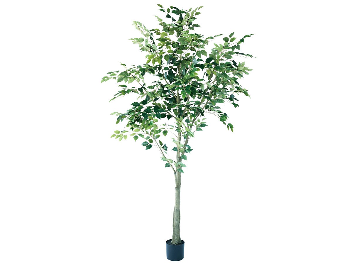 BROWN Ficus benjamina Pot / ブラウン ベンジャミン ポット 210 (花器・プランター・グリーン > フェイクグリーン・フェイクフラワー) 1