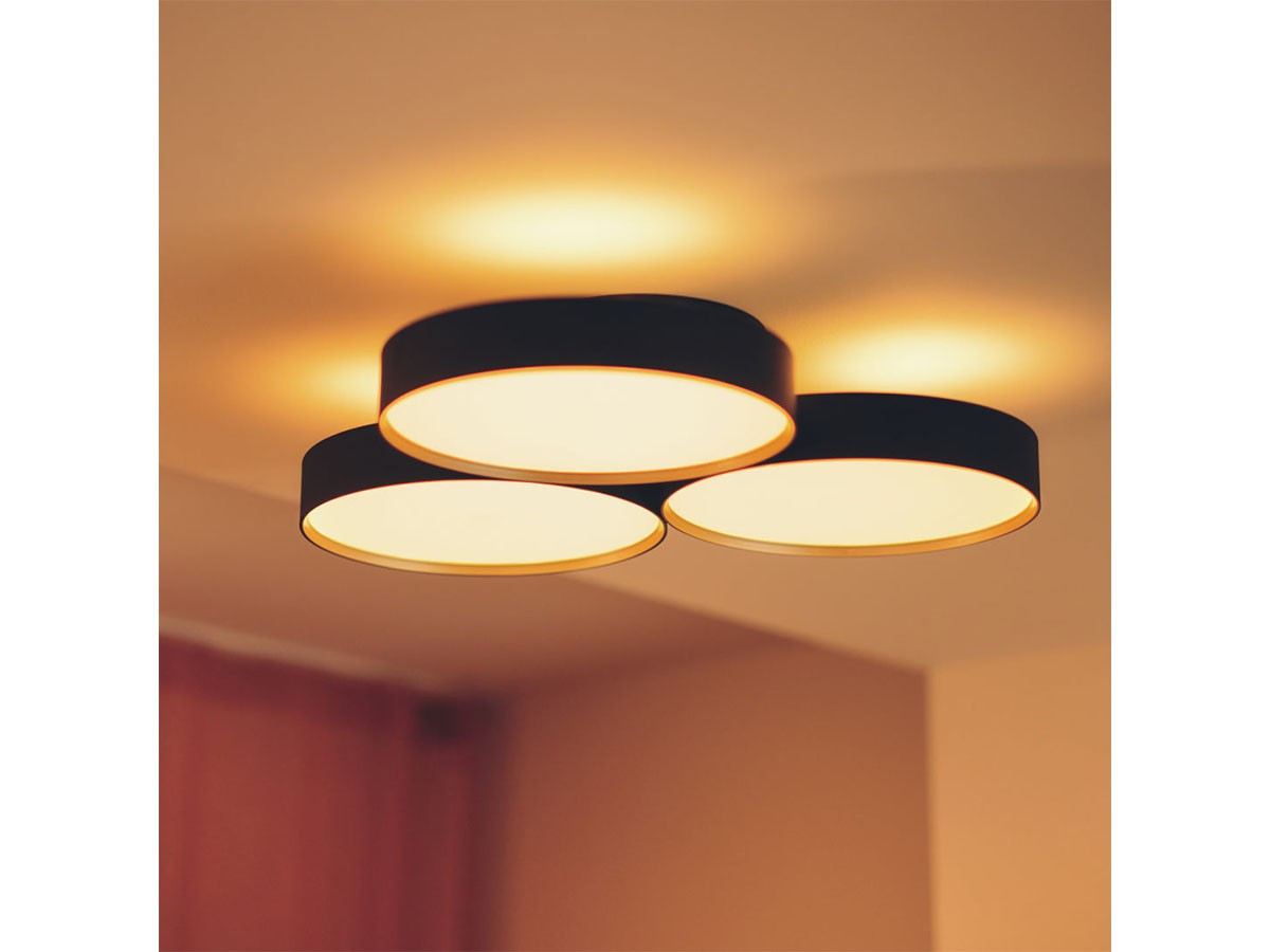 FLYMEe Noir LED Ceiling Lamp / フライミーノワール LED シーリング