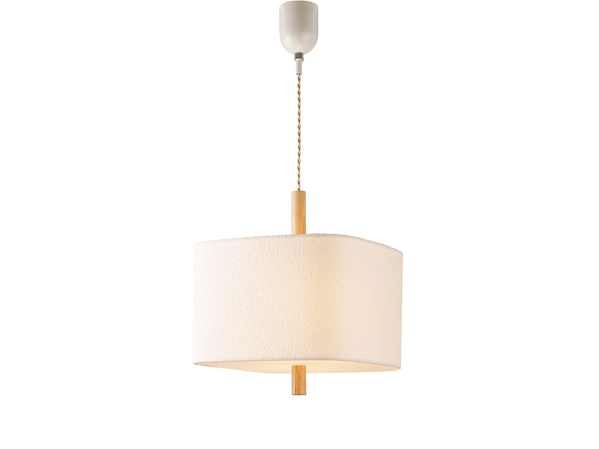 Pendant Light / ペンダントライト #121743 （ライト・照明 > ペンダントライト） 14