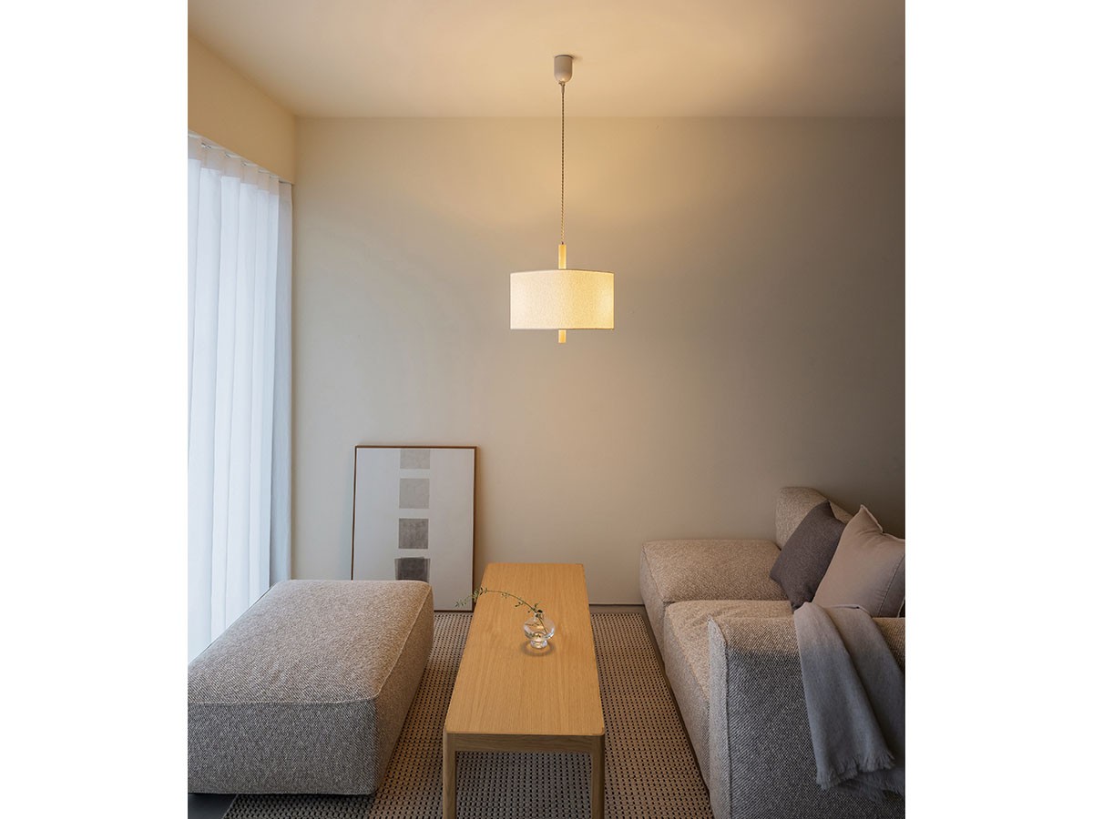 Pendant Light / ペンダントライト #121743 （ライト・照明 > ペンダントライト） 2