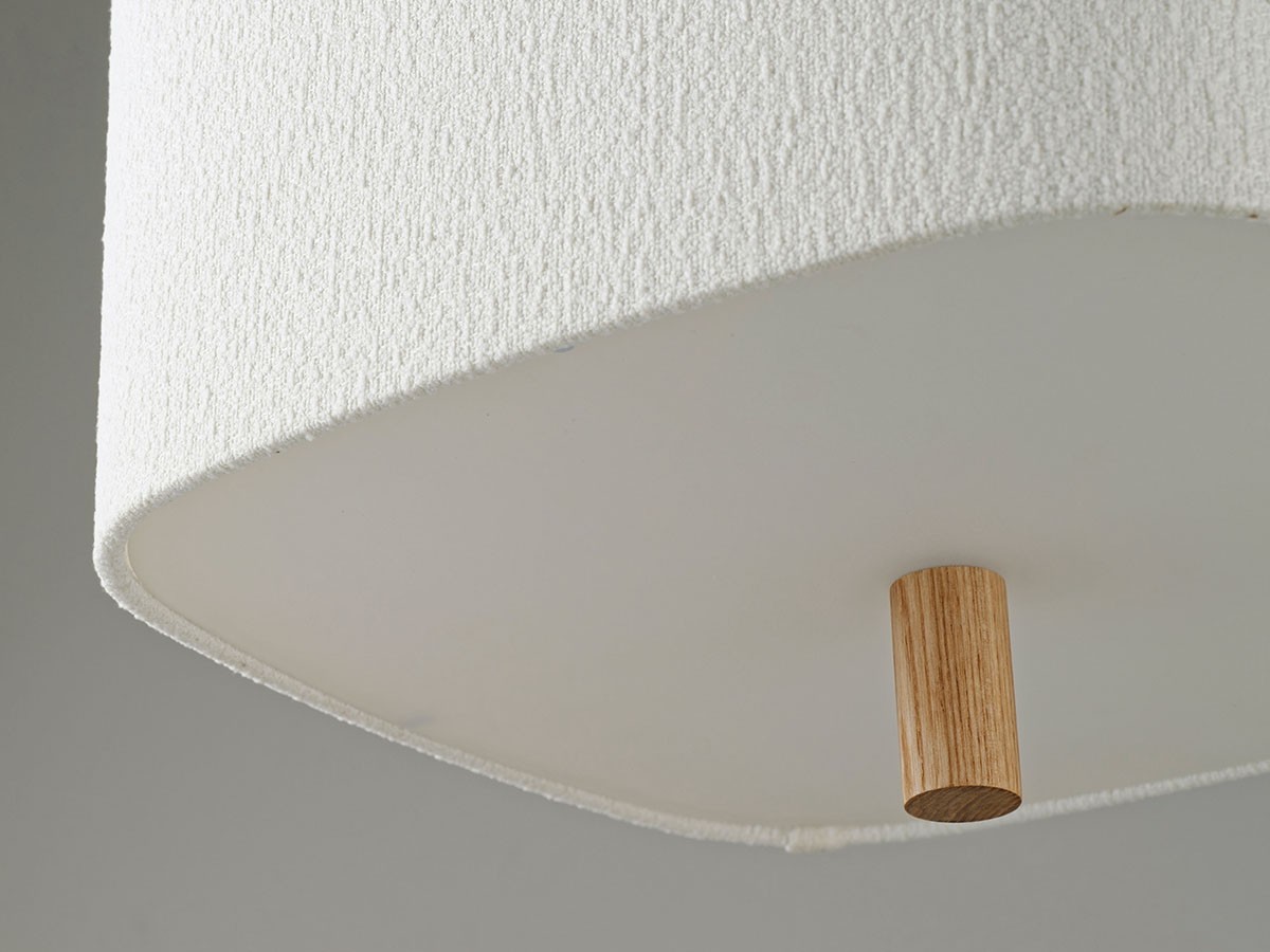Pendant Light / ペンダントライト #121743 （ライト・照明 > ペンダントライト） 12