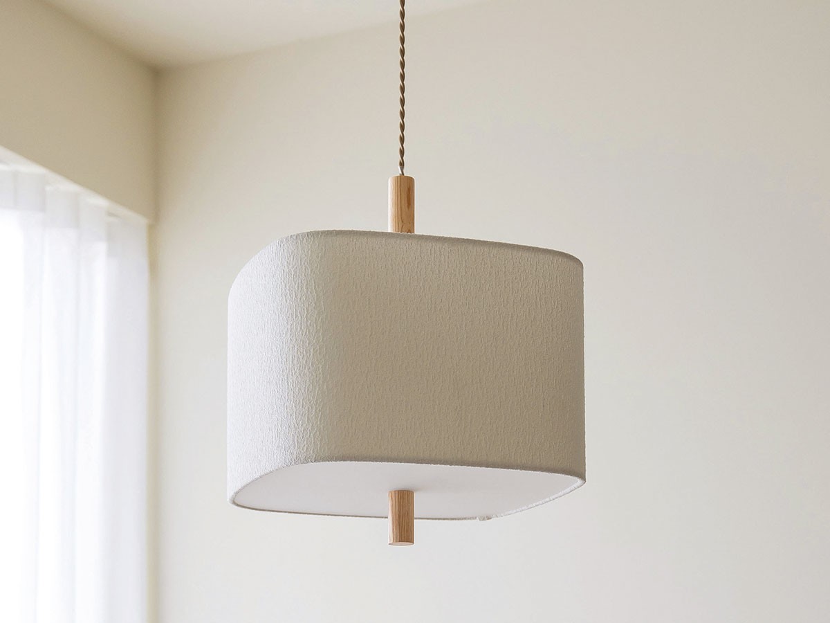 Pendant Light / ペンダントライト #121743 （ライト・照明 > ペンダントライト） 8