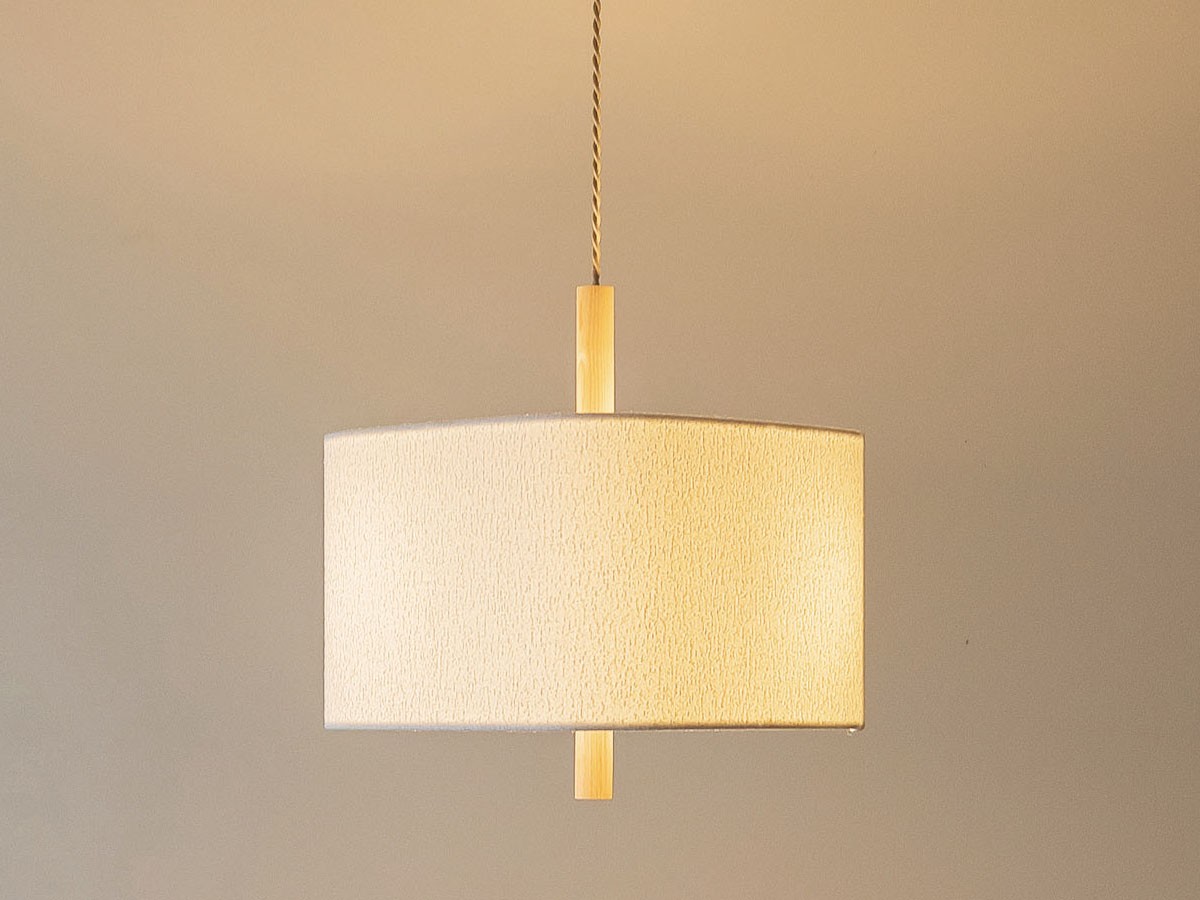 Pendant Light / ペンダントライト #121743 （ライト・照明 > ペンダントライト） 11