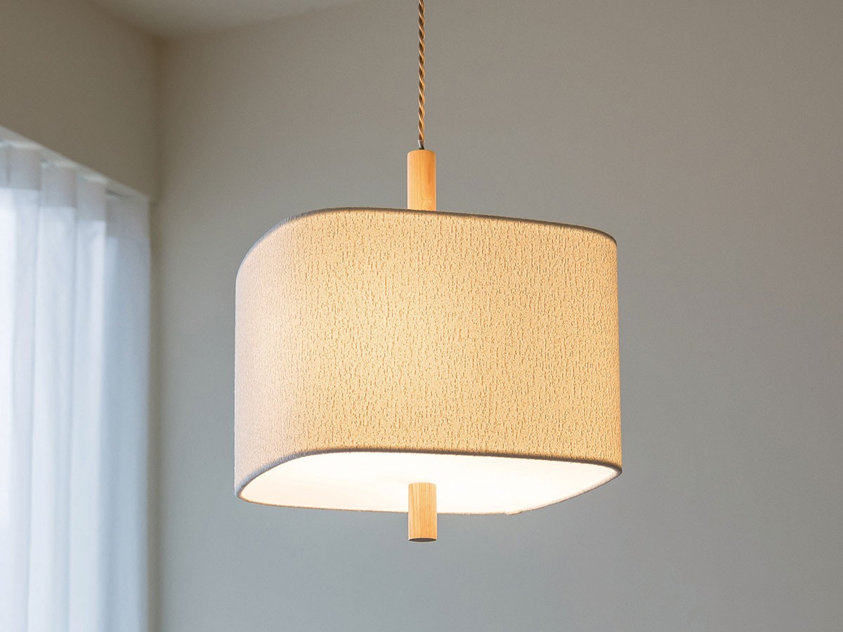 Pendant Light / ペンダントライト #121743 （ライト・照明 > ペンダントライト） 9