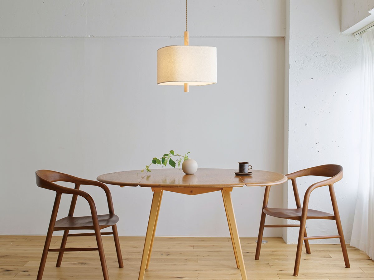 Pendant Light / ペンダントライト #121743 （ライト・照明 > ペンダントライト） 5