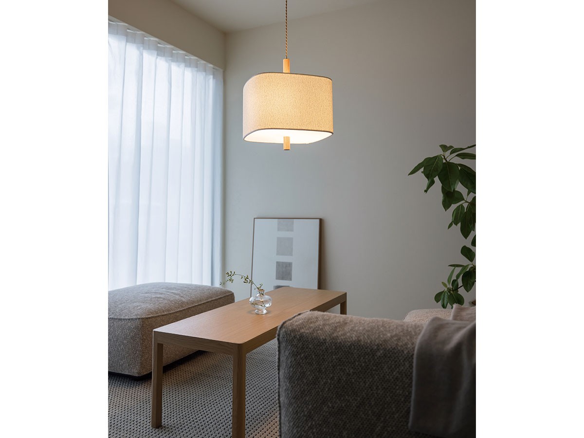 Pendant Light / ペンダントライト #121743 （ライト・照明 > ペンダントライト） 4