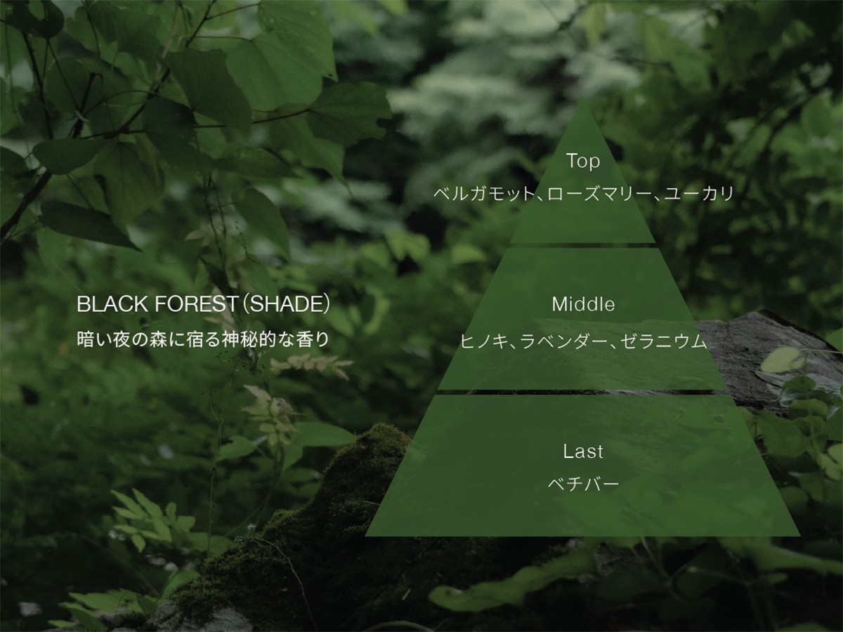 LIRIO FLYMEe LIFESTYLE COLLECTION by LIRIO
HAND WASH
BLACK FOREST（SHADE） / リリオ ハンドウォッシュ ブラックフォレスト（シェード） （インテリア雑貨 > ボディケア） 5