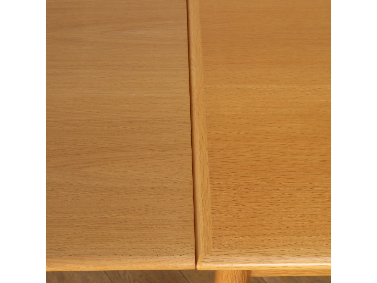 Lloyd's Antiques Real Antique
Drawleaf Table / ロイズ・アンティークス デンマークアンティーク家具
ドローリーフテーブル QM008410 （テーブル > ダイニングテーブル） 11