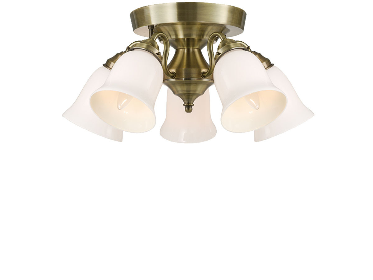 CUSTOM SERIES
5 Ceiling Lamp × Trans Soil / カスタムシリーズ
5灯シーリングランプ × トランス（ソイル） （ライト・照明 > シーリングライト） 1