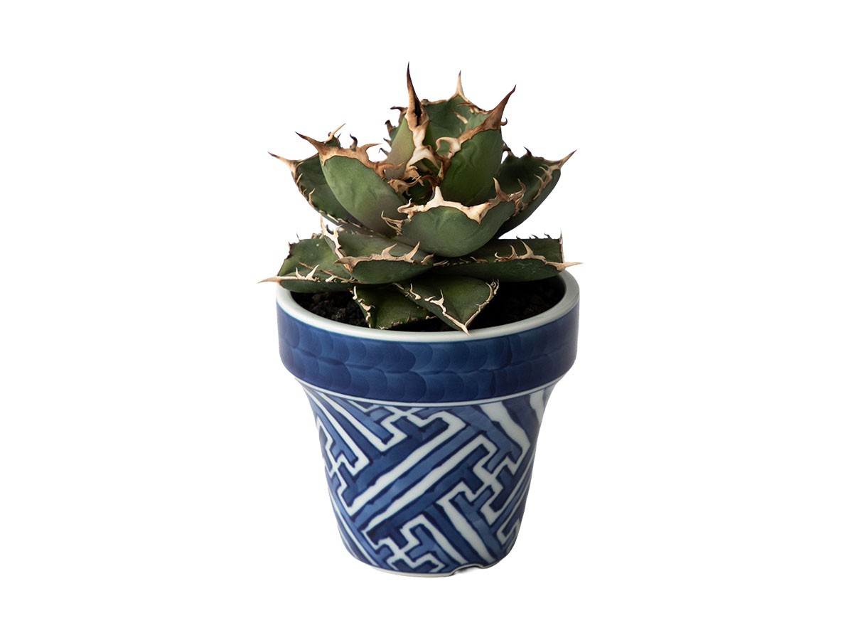 染付雷紋 植木鉢