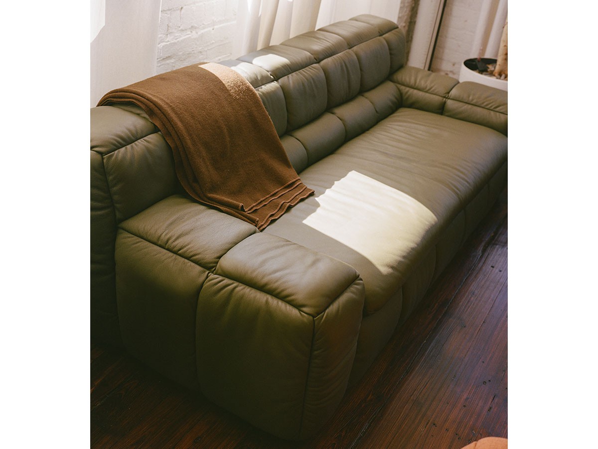 Karimoku Re:issue by LICHEN ZE Sofa 2Seater / カリモク リイシュー バイ ライケン ZEソファ 2シーター （ソファ > 二人掛けソファ） 8