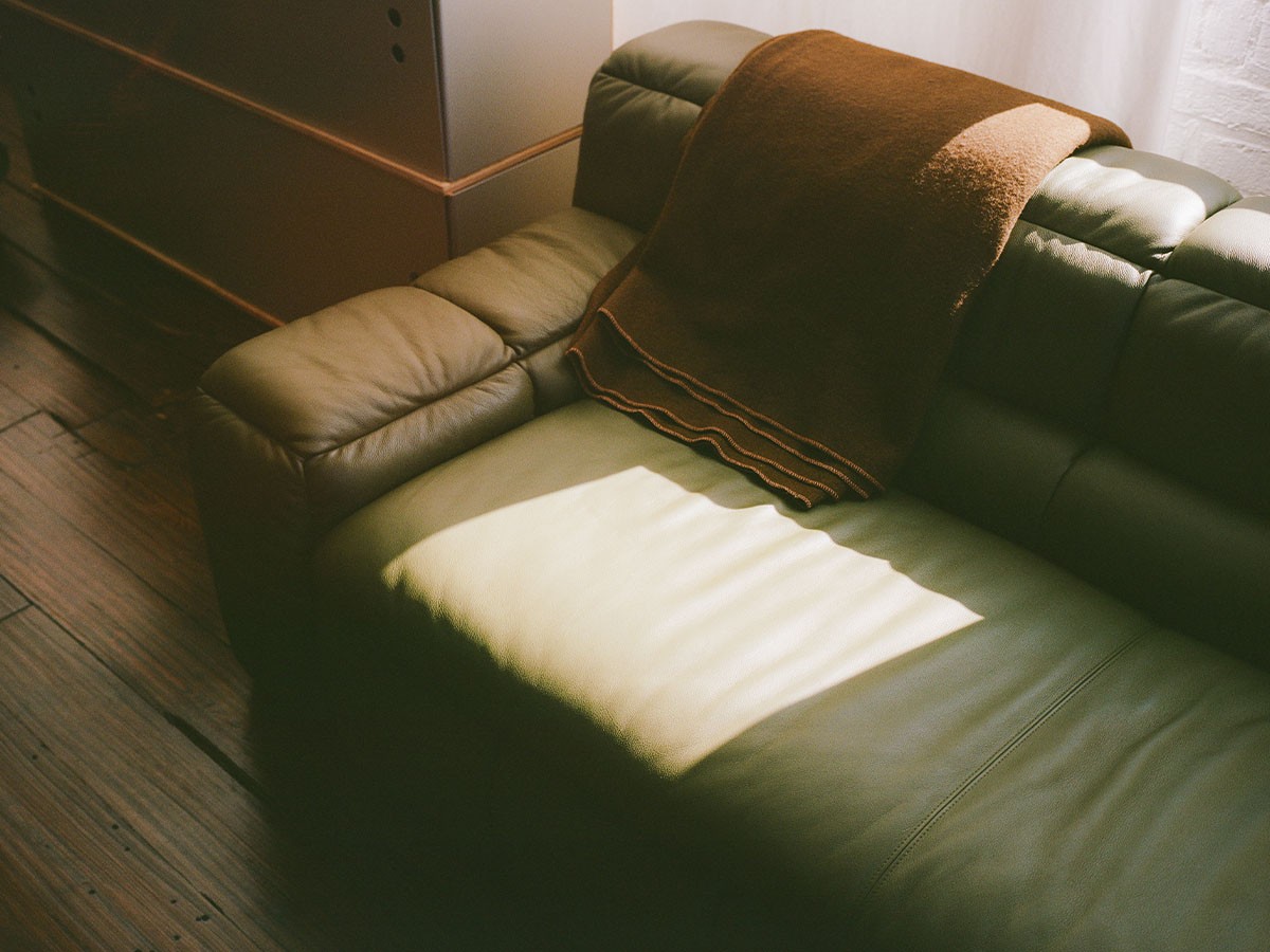 Karimoku Re:issue by LICHEN ZE Sofa 2Seater / カリモク リイシュー バイ ライケン ZEソファ 2シーター （ソファ > 二人掛けソファ） 7