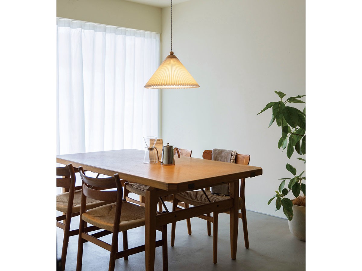 Pendant Light / ペンダントライト #121744 （ライト・照明 > ペンダントライト） 2