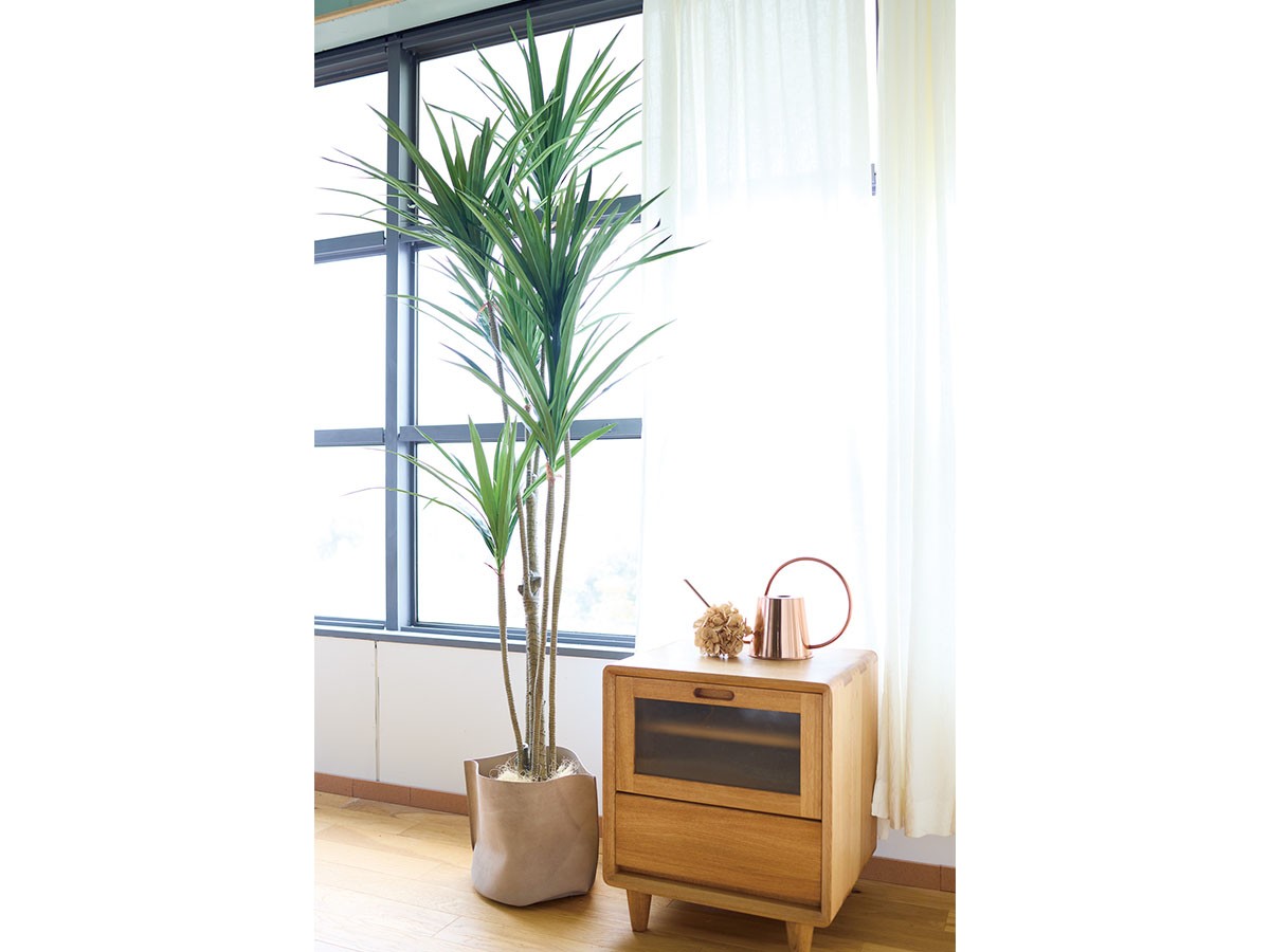 BROWN Yucca Pot / ブラウン ユッカ  ポット 210 （花器・プランター・グリーン > フェイクグリーン・フェイクフラワー） 2