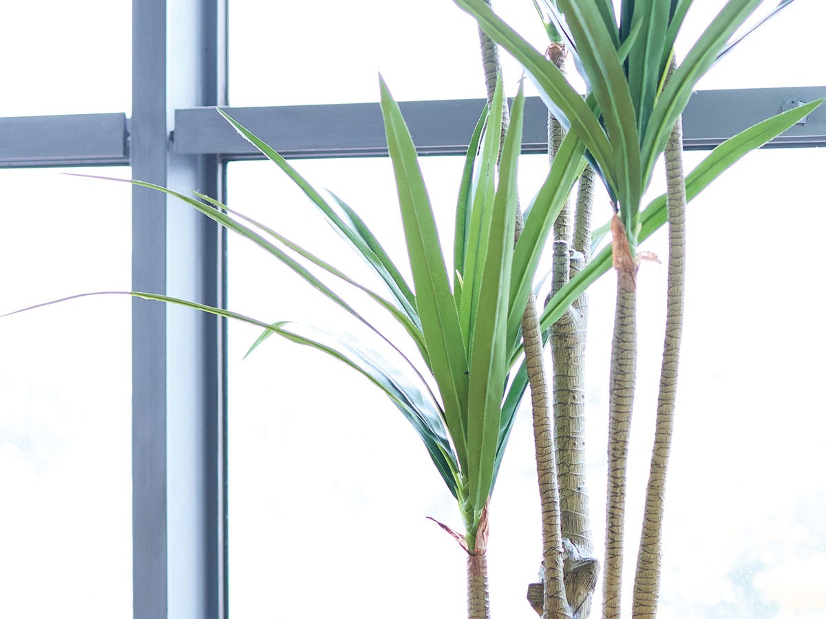 BROWN Yucca Pot / ブラウン ユッカ  ポット 210 （花器・プランター・グリーン > フェイクグリーン・フェイクフラワー） 5