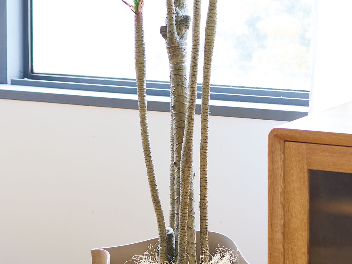 BROWN Yucca Pot / ブラウン ユッカ  ポット 210 （花器・プランター・グリーン > フェイクグリーン・フェイクフラワー） 6