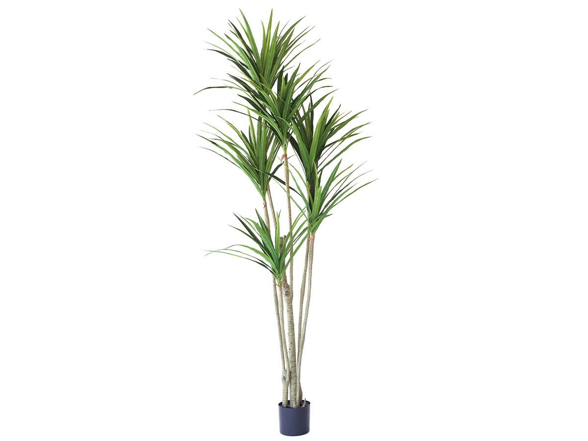 BROWN Yucca Pot / ブラウン ユッカ ポット 210 (花器・プランター・グリーン > フェイクグリーン・フェイクフラワー) 1