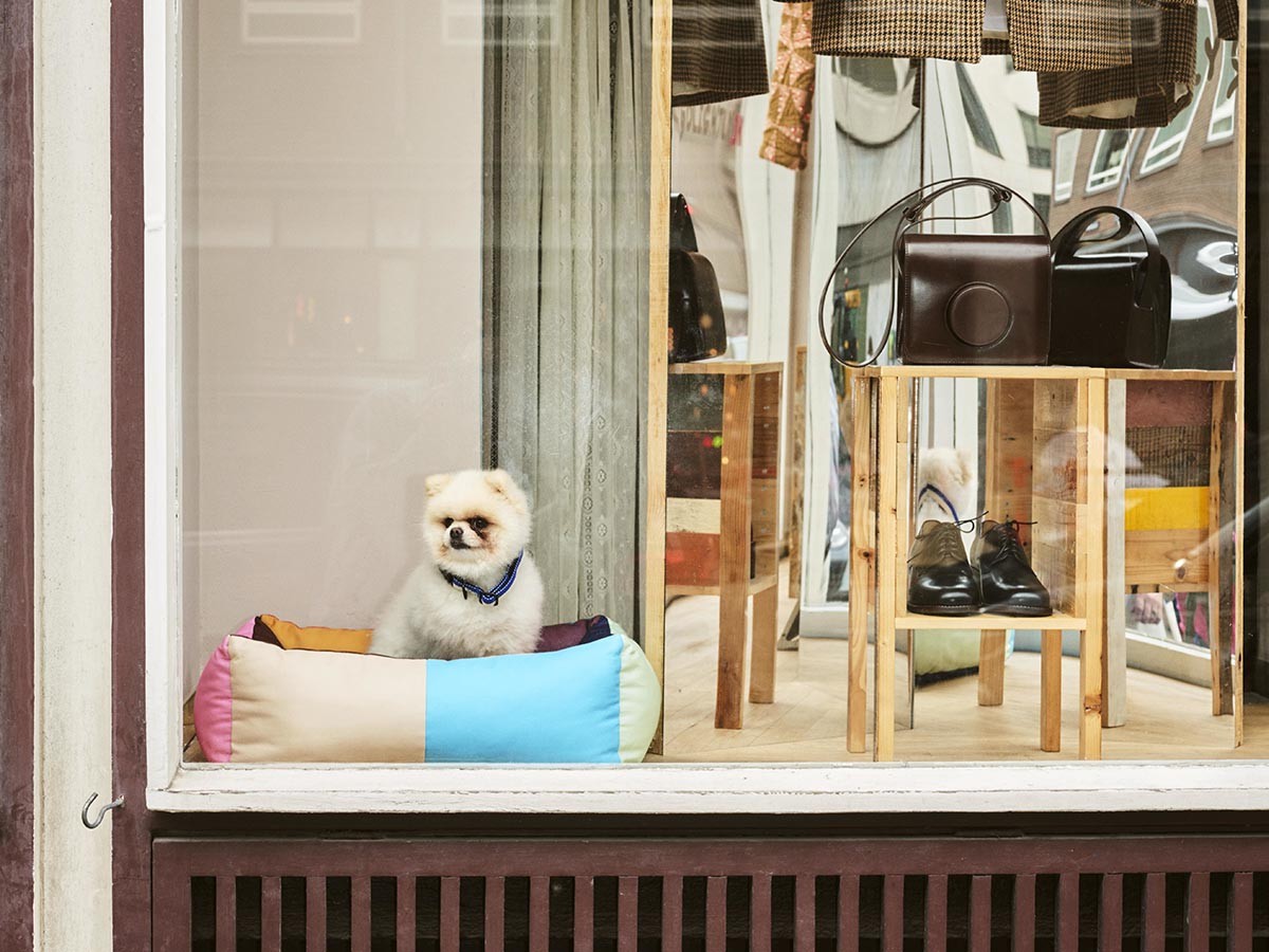 HAY HAY DOGS BY HOLLY GOLIGHTLY
DOGS BED MEDIUM / ヘイ ヘイ ドッグ コレクション
ドッグベッド ミディアム （インテリア雑貨 > ペット用品） 6