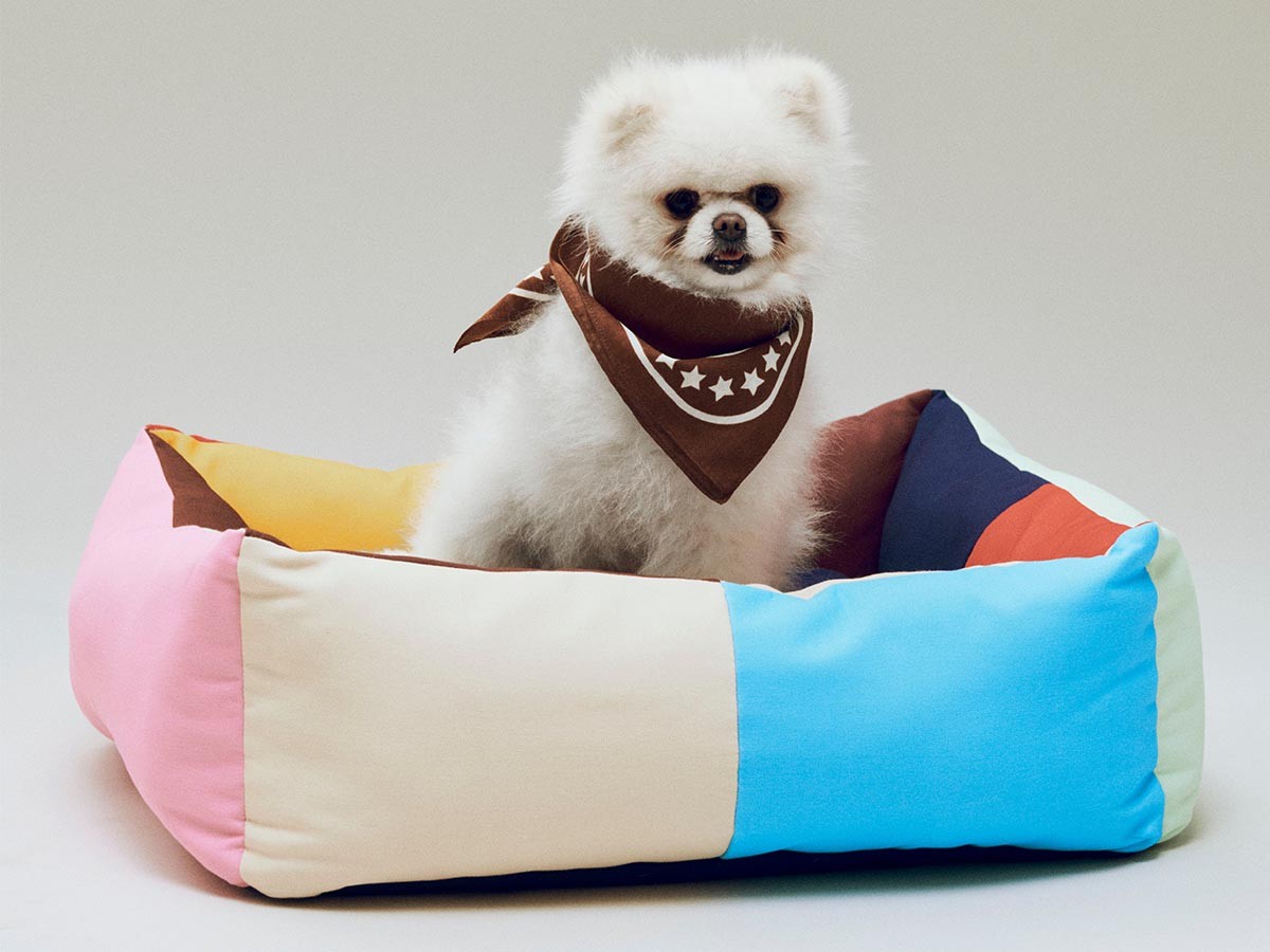 HAY HAY DOGS BY HOLLY GOLIGHTLY
DOGS BED MEDIUM / ヘイ ヘイ ドッグ コレクション
ドッグベッド ミディアム （インテリア雑貨 > ペット用品） 8