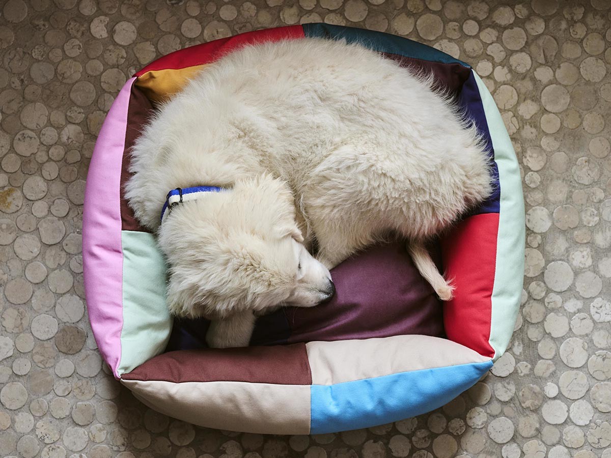 HAY HAY DOGS BY HOLLY GOLIGHTLY
DOGS BED MEDIUM / ヘイ ヘイ ドッグ コレクション
ドッグベッド ミディアム （インテリア雑貨 > ペット用品） 5