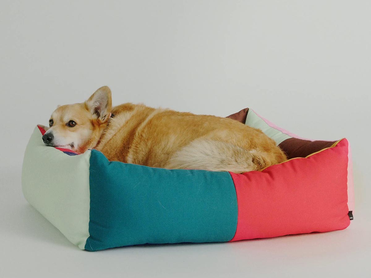 HAY HAY DOGS BY HOLLY GOLIGHTLY
DOGS BED MEDIUM / ヘイ ヘイ ドッグ コレクション
ドッグベッド ミディアム （インテリア雑貨 > ペット用品） 12