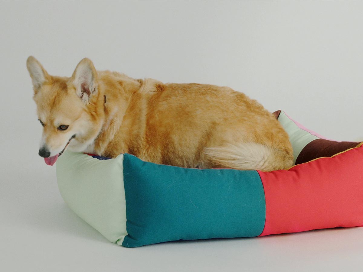HAY HAY DOGS BY HOLLY GOLIGHTLY
DOGS BED MEDIUM / ヘイ ヘイ ドッグ コレクション
ドッグベッド ミディアム （インテリア雑貨 > ペット用品） 13