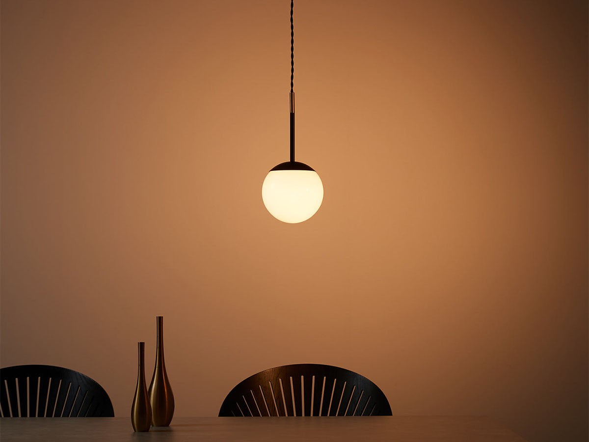 Pendant Light / ペンダントライト 1灯タイプ #110791 （ライト・照明 > ペンダントライト） 8