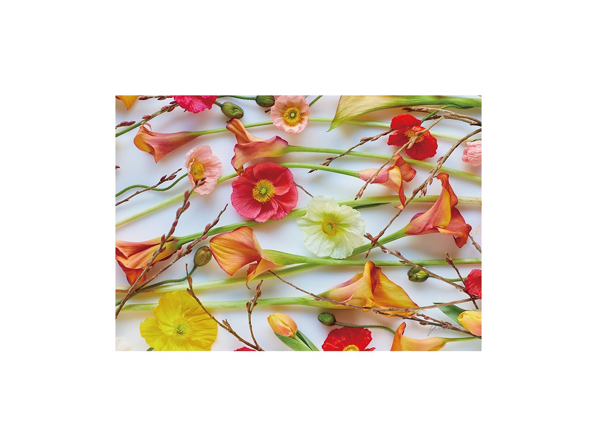 Pastel Bloom Poppy&Calla