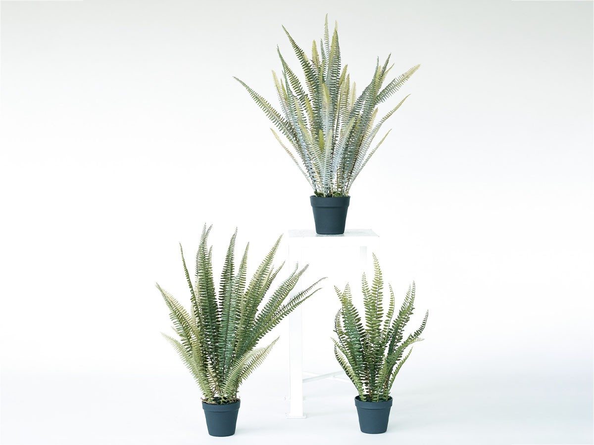 BROWN Boston Fern Pot Silver / ブラウン ボストンファーン ポット シルバー （花器・プランター・グリーン > フェイクグリーン・フェイクフラワー） 2