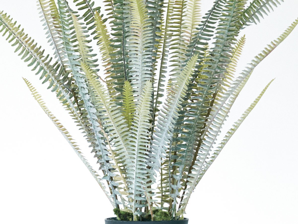 BROWN Boston Fern Pot Silver / ブラウン ボストンファーン ポット シルバー （花器・プランター・グリーン > フェイクグリーン・フェイクフラワー） 5