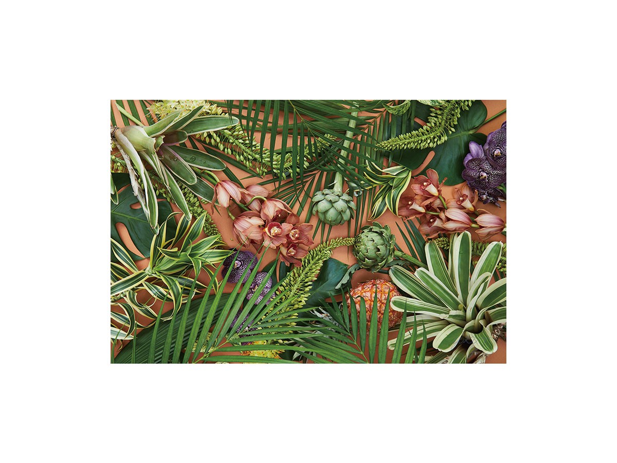 Botanic Orchid Grove