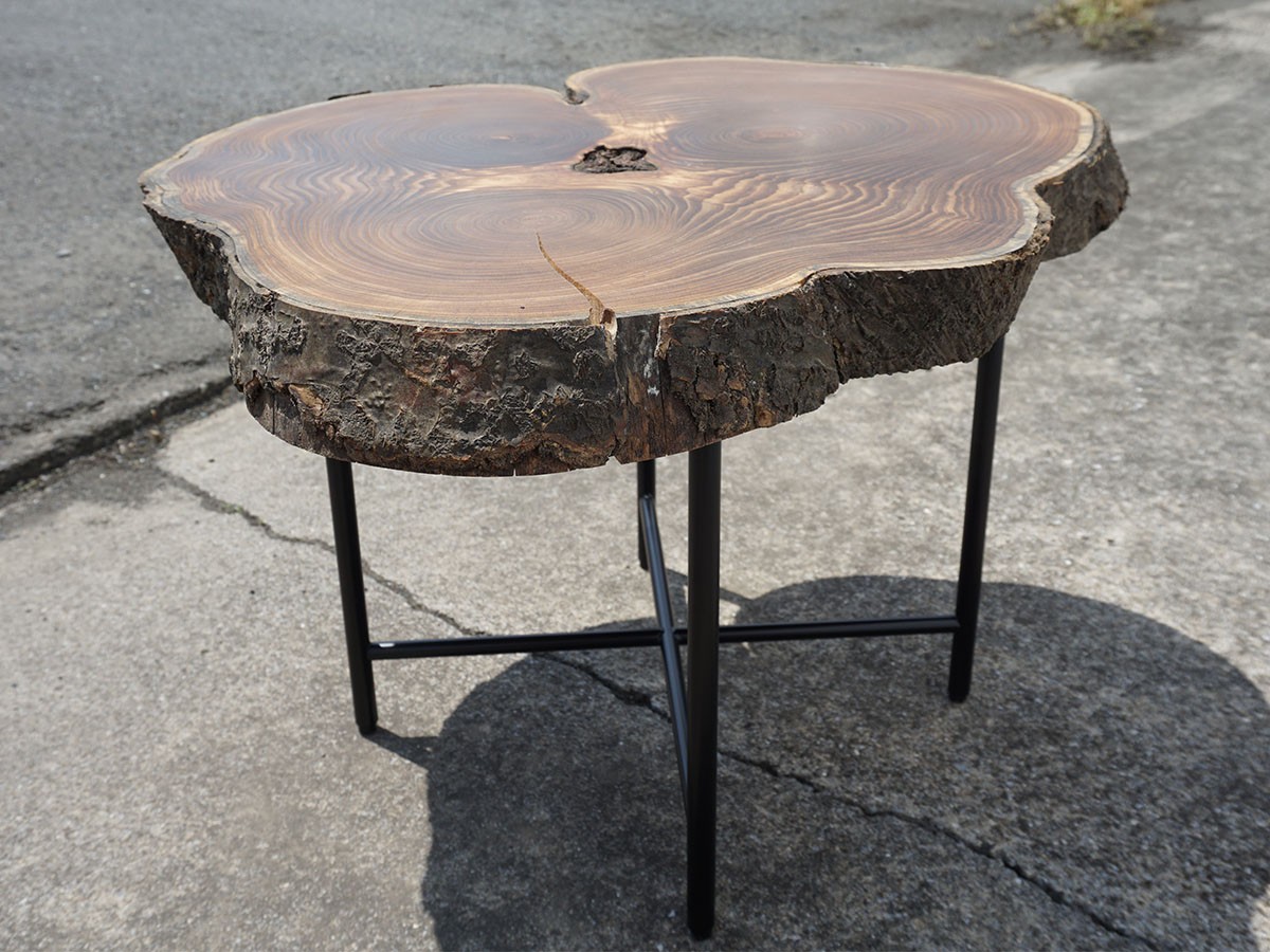 RE : Store Fixture UNITED ARROWS LTD. Growth Ring Side Table A / リ ストア フィクスチャー ユナイテッドアローズ グロウス リング サイドテーブル A （テーブル > サイドテーブル） 4