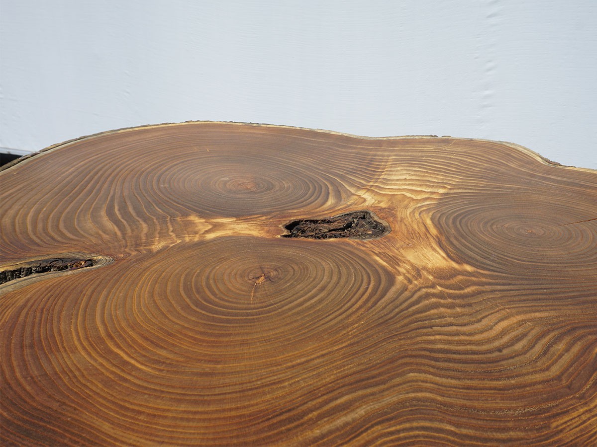 RE : Store Fixture UNITED ARROWS LTD. Growth Ring Side Table A / リ ストア フィクスチャー ユナイテッドアローズ グロウス リング サイドテーブル A （テーブル > サイドテーブル） 9