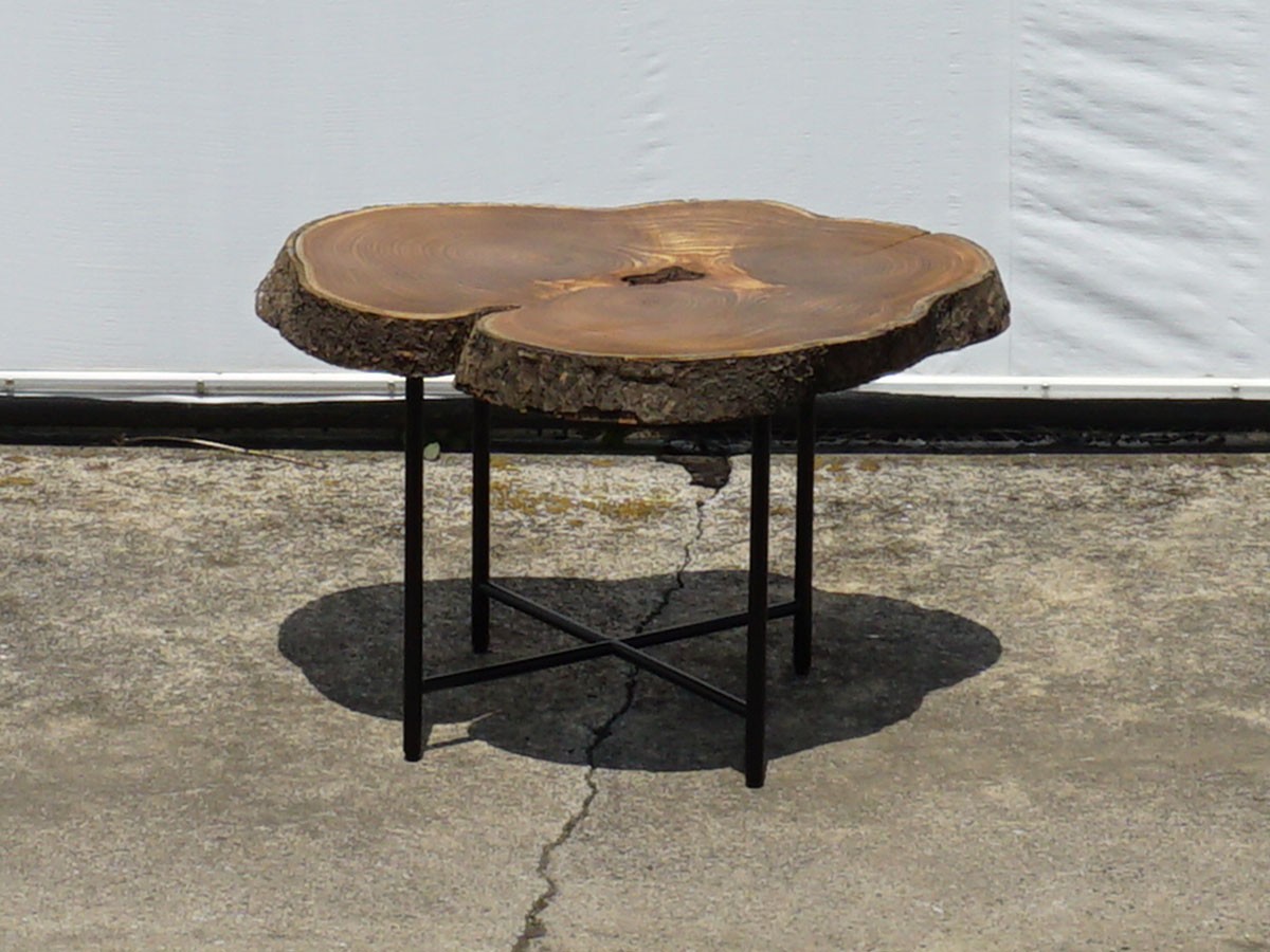 RE : Store Fixture UNITED ARROWS LTD. Growth Ring Side Table A / リ ストア フィクスチャー ユナイテッドアローズ グロウス リング サイドテーブル A （テーブル > サイドテーブル） 1