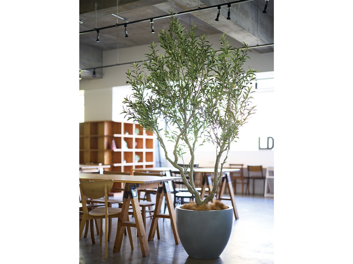 BROWN Olive Pot / ブラウン オリーブ ポット 230 （花器・プランター・グリーン > フェイクグリーン・フェイクフラワー） 2