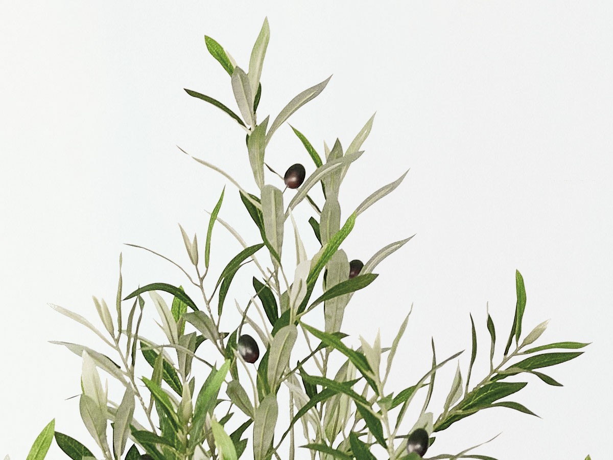 BROWN Olive Pot / ブラウン オリーブ ポット 230 （花器・プランター・グリーン > フェイクグリーン・フェイクフラワー） 3