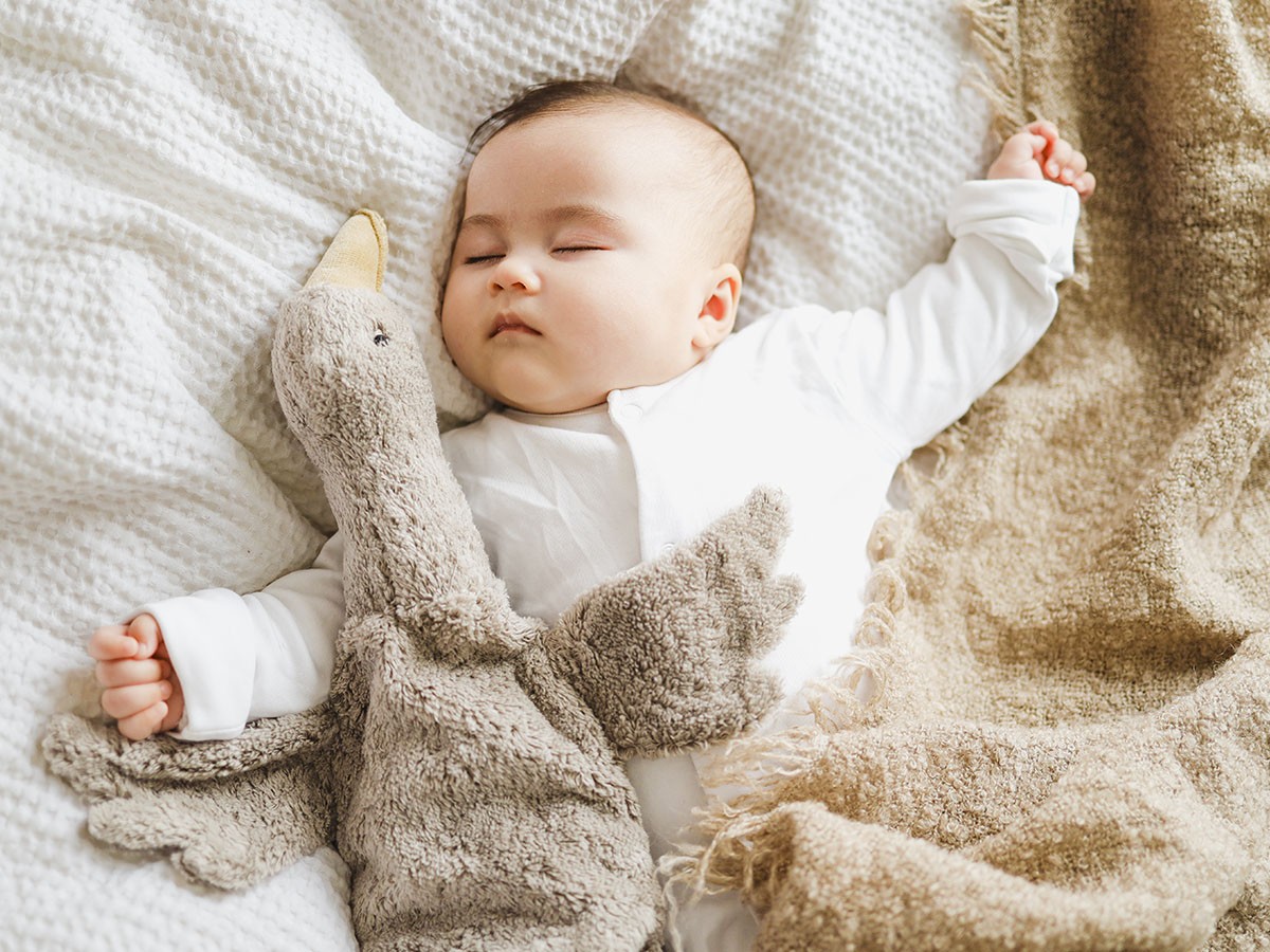 SENGER Naturwelt Cuddly Animal Goose / ゼンガーナチュウェルト カドリーアニマル グース S（グレー） （キッズ家具・ベビー用品 > おもちゃ・玩具） 13