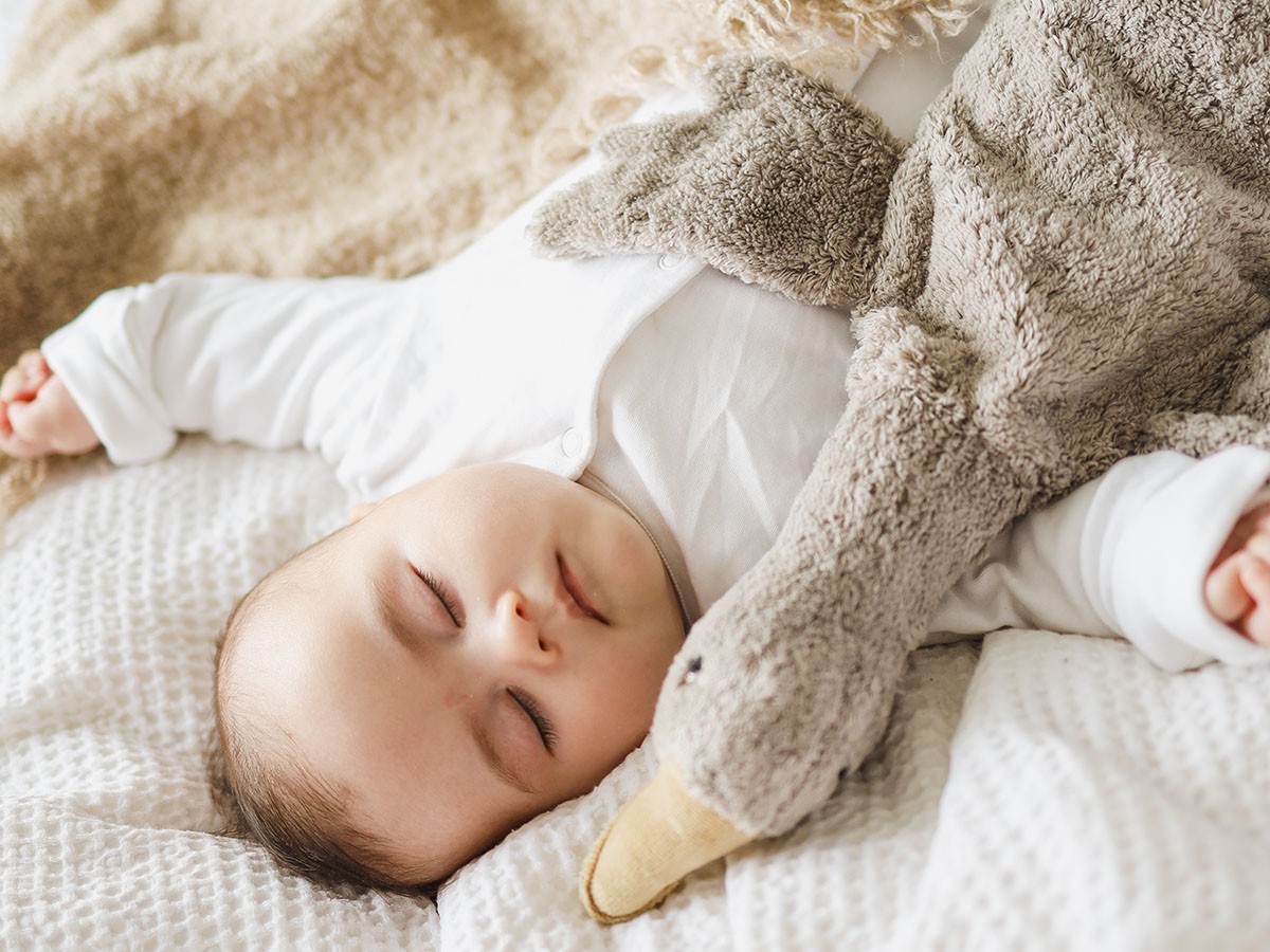 SENGER Naturwelt Cuddly Animal Goose / ゼンガーナチュウェルト カドリーアニマル グース S（グレー） （キッズ家具・ベビー用品 > おもちゃ・玩具） 14