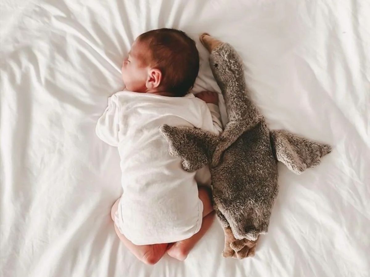 SENGER Naturwelt Cuddly Animal Goose / ゼンガーナチュウェルト カドリーアニマル グース S（グレー） （キッズ家具・ベビー用品 > おもちゃ・玩具） 2