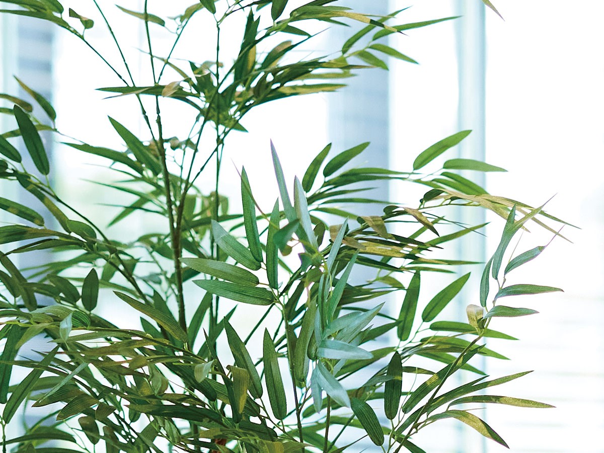BROWN Bamboo Pot / ブラウン バンブー ポット 120 （花器・プランター・グリーン > フェイクグリーン・フェイクフラワー） 4