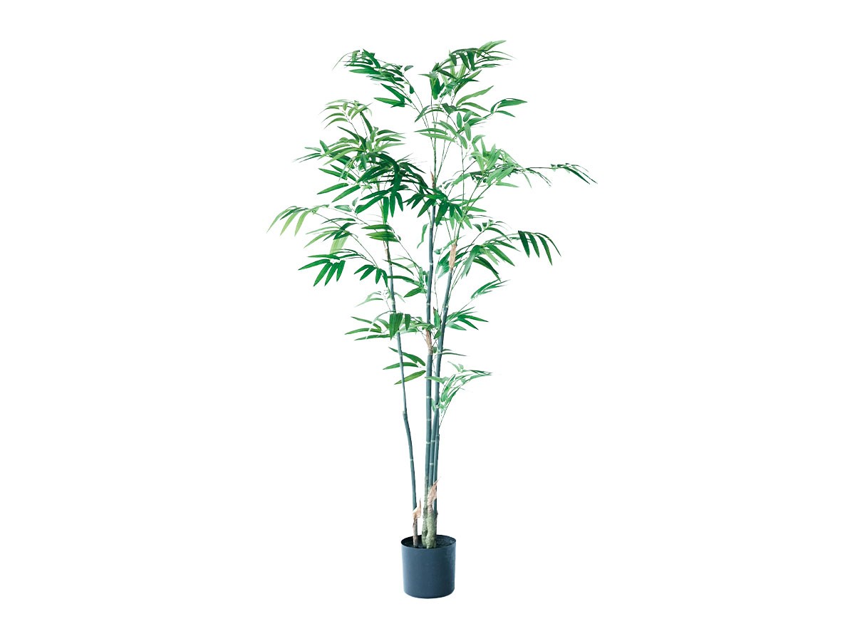 BROWN Bamboo Pot